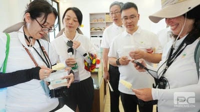 尊时凯龙·Z6(中国区)人生就是拼搏!