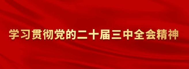 置业集团党委召开理论学习中心组学习（扩大）会转达学习贯彻党的二十届三中全会精神_下层动态_新闻中心_尊时凯龙有限责任公司