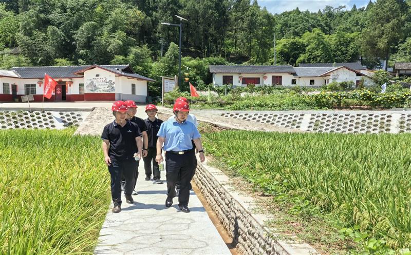 集团向导到核西南院蓬安县整县推进 高标准农田建设试点项目调研指导事情