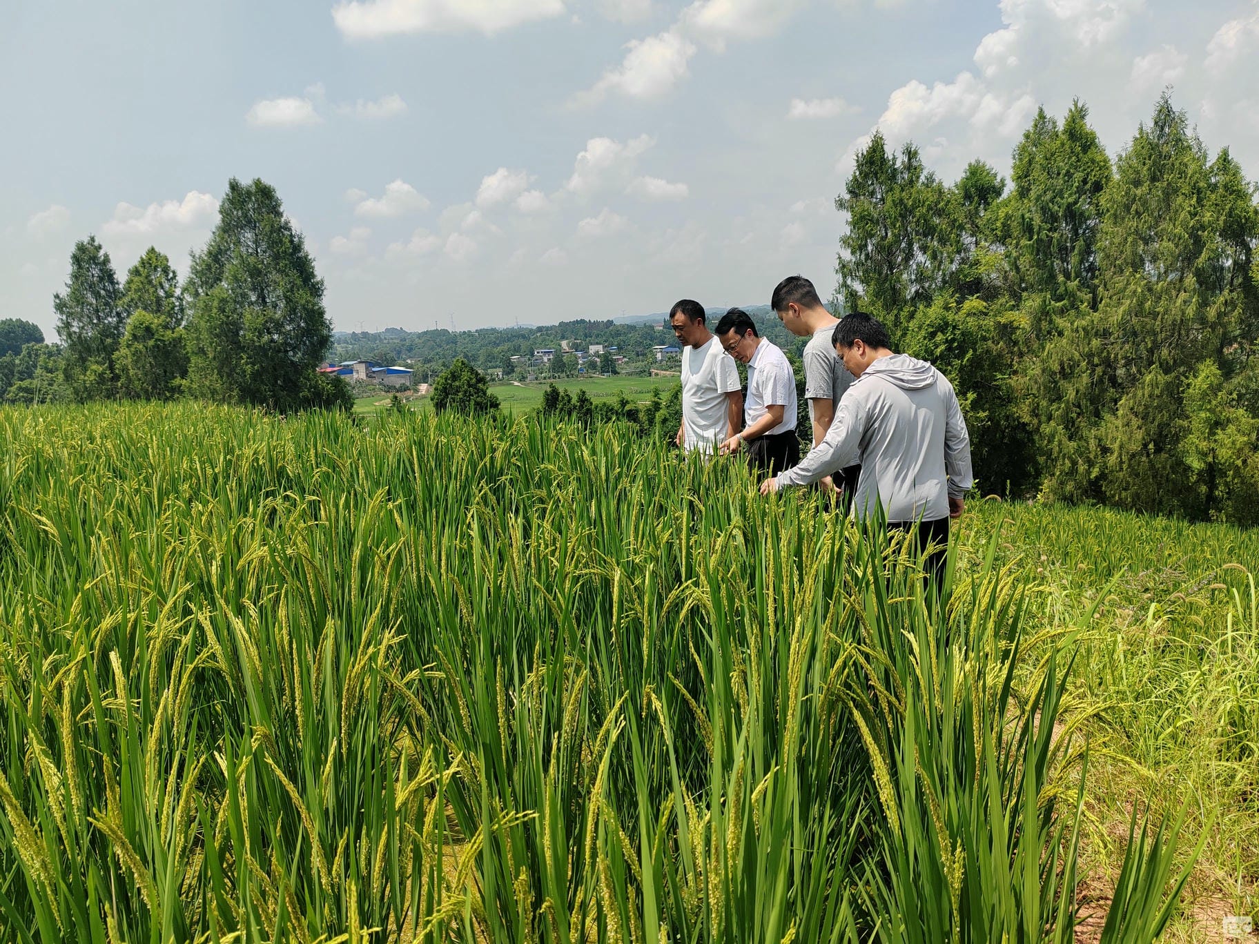 尊时凯龙·Z6(中国区)人生就是拼搏!