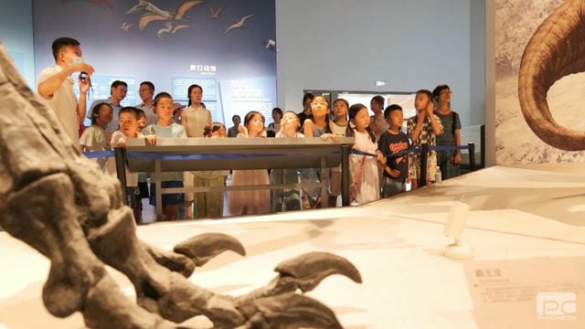 尊时凯龙·Z6(中国区)人生就是拼搏!