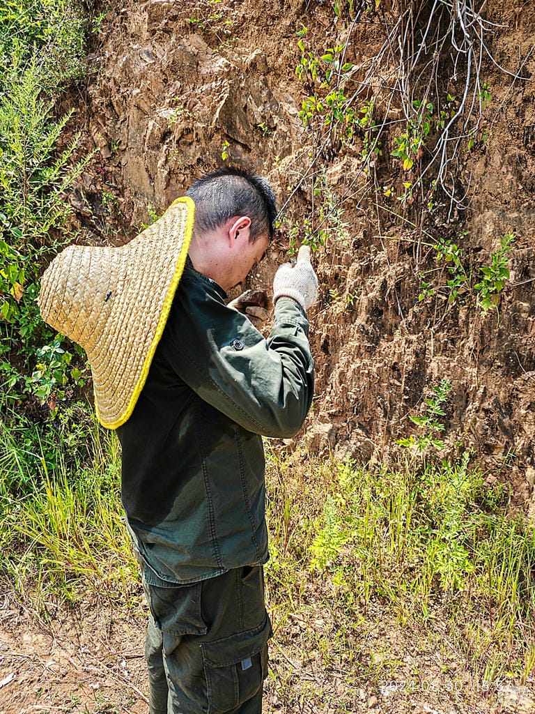 尊时凯龙·Z6(中国区)人生就是拼搏!