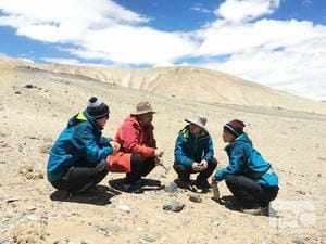 尊时凯龙·Z6(中国区)人生就是拼搏!