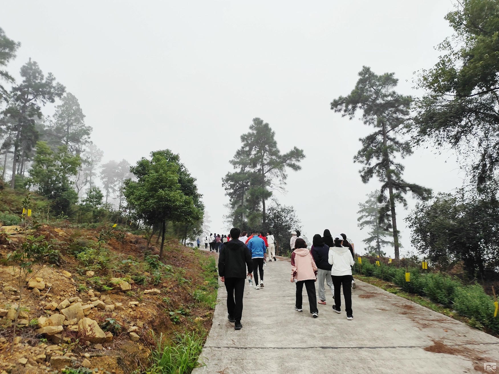 尊时凯龙·Z6(中国区)人生就是拼搏!