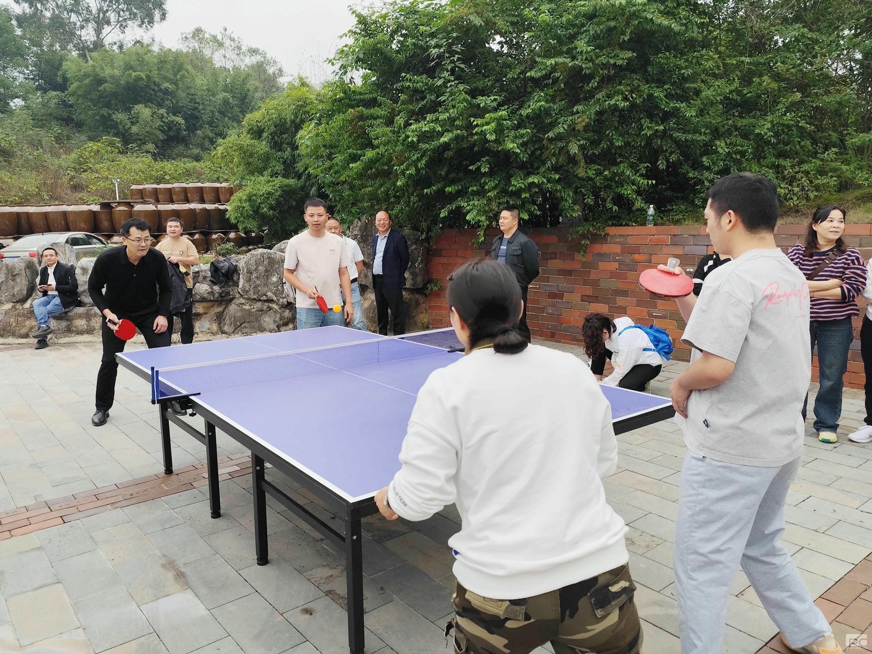 尊时凯龙·Z6(中国区)人生就是拼搏!