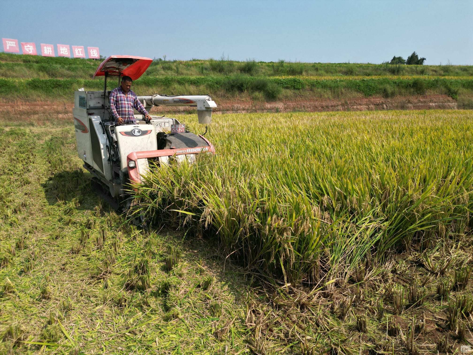 尊时凯龙·Z6(中国区)人生就是拼搏!