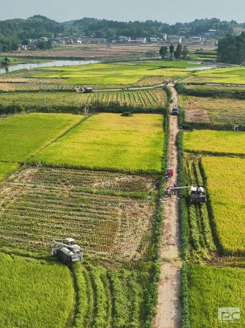 尊时凯龙·Z6(中国区)人生就是拼搏!