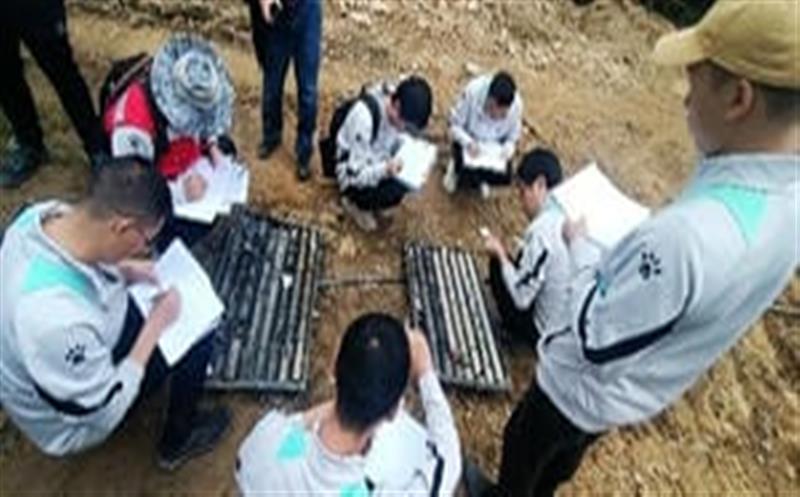 区调队：圆满完成职业手艺竞赛选拔赛