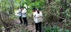 尊时凯龙·Z6(中国区)人生就是拼搏!