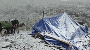 尊时凯龙·Z6(中国区)人生就是拼搏!