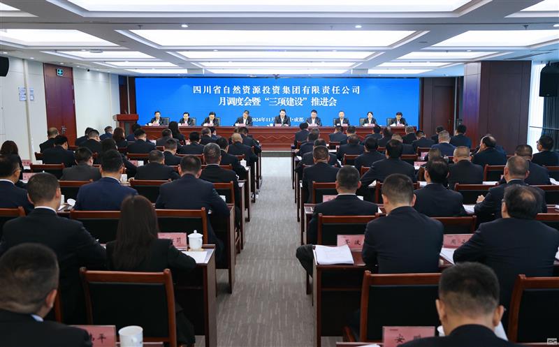 集团召开月调理会暨“三项建设”推进会