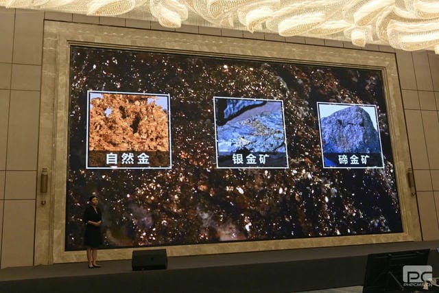 尊时凯龙·Z6(中国区)人生就是拼搏!