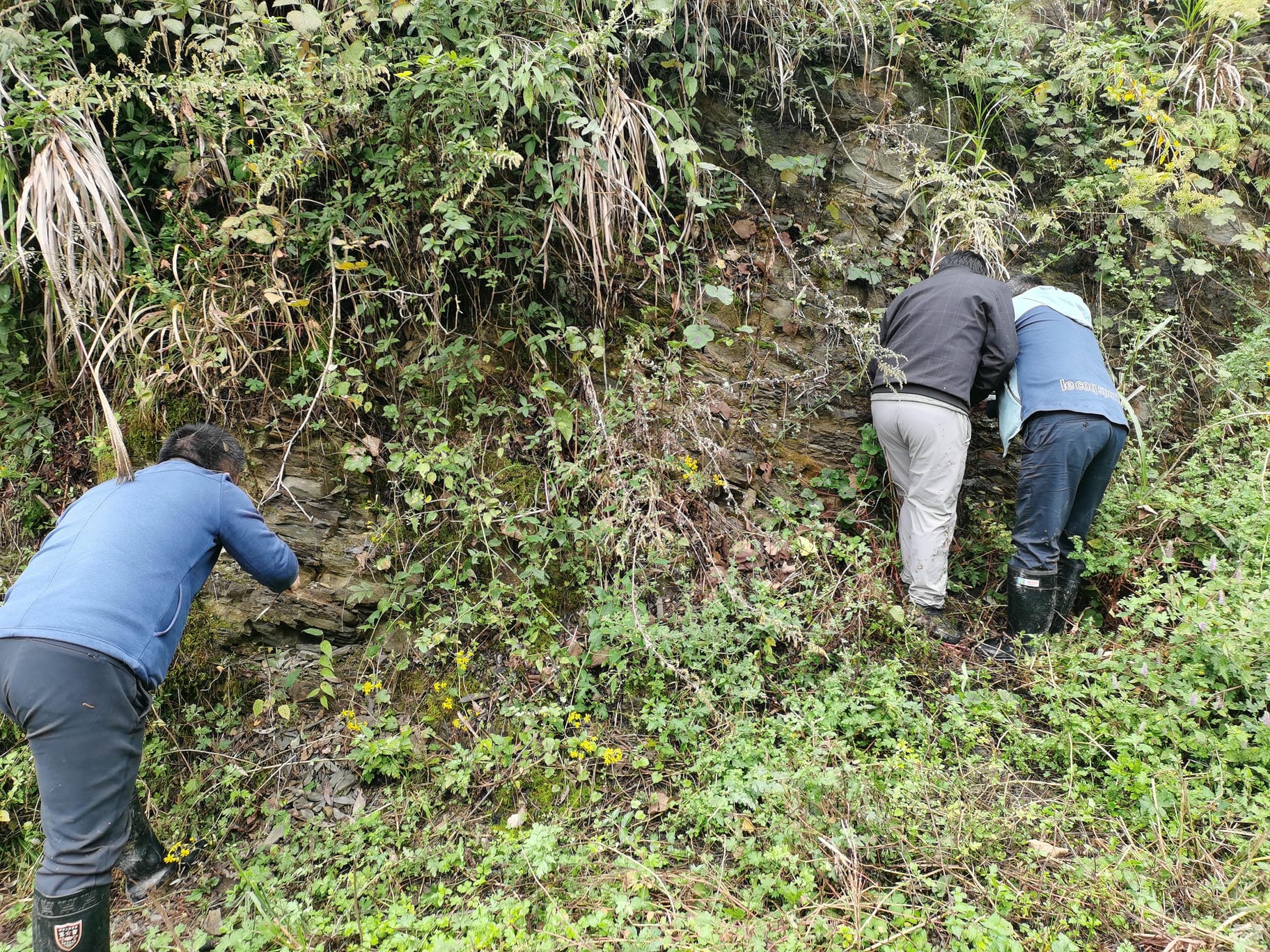 尊时凯龙·Z6(中国区)人生就是拼搏!