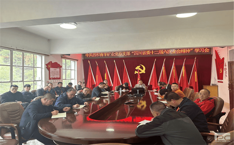 公司向导到青羊矿业宣讲四川省委十二届六次全会精神