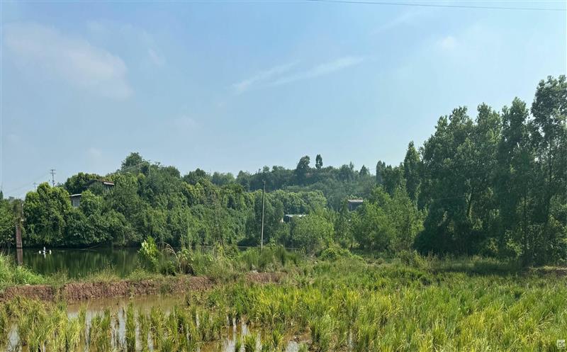 流转服务公司乐成促成多地签署指标流转协议