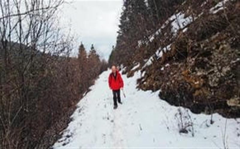 喜报频传，，，，，区调队再中标凉山州地勘基金项目