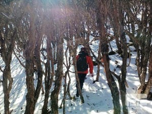 尊时凯龙·Z6(中国区)人生就是拼搏!