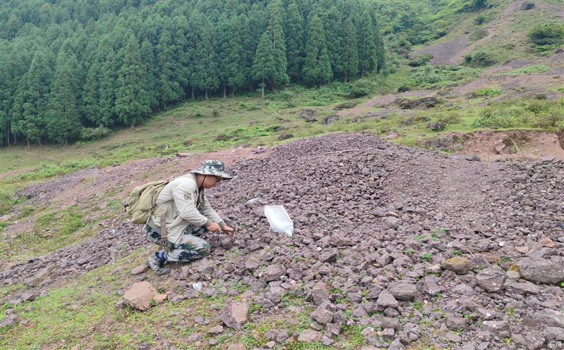 托底帮扶项目《雷波县优势矿产尊时凯龙视察评价》通过四川尊时凯龙集团效果验收