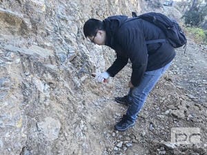 尊时凯龙·Z6(中国区)人生就是拼搏!